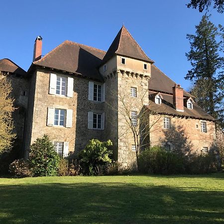 Chateau De Grand Bonnefont Limoges Exteriör bild